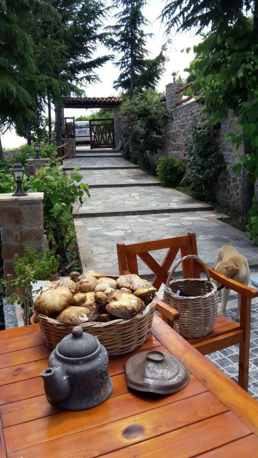 Vernon Villa Stone 1887 Kastoria Ngoại thất bức ảnh
